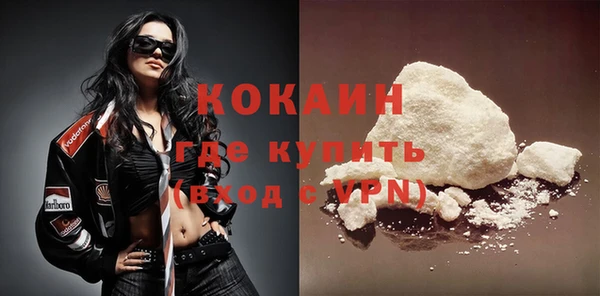 ECSTASY Богданович