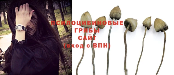 МДПВ Богородицк