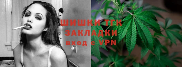 ECSTASY Богданович