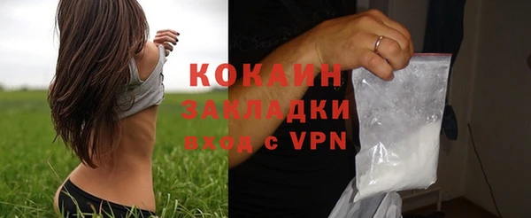 ECSTASY Богданович