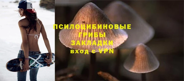 спиды Богородск