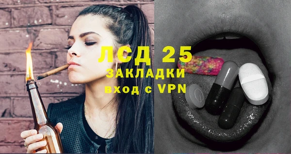 ECSTASY Богданович