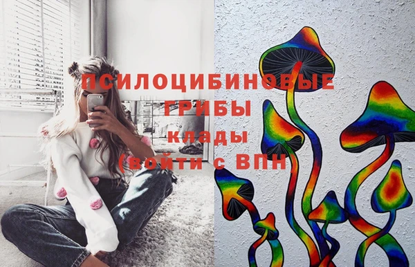 спиды Богородск