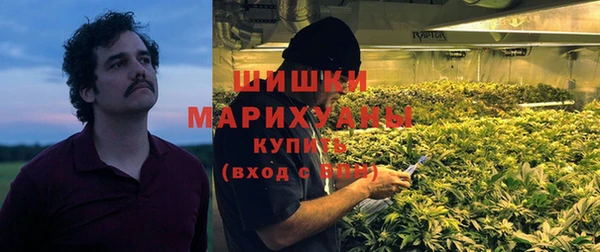 спиды Богородск
