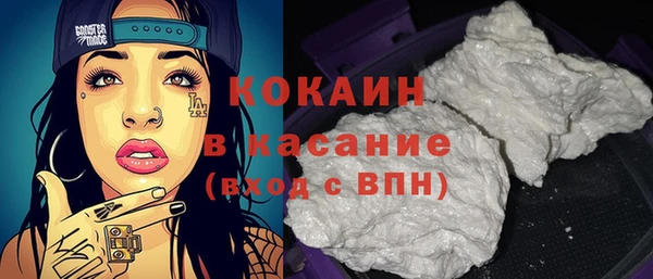 ECSTASY Богданович