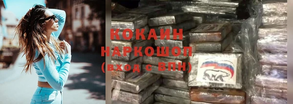 ECSTASY Богданович
