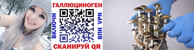 что такое наркотик  Ковылкино  Галлюциногенные грибы прущие грибы 